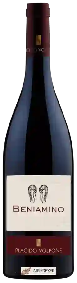 Winery Placido Volpone - Beniamino