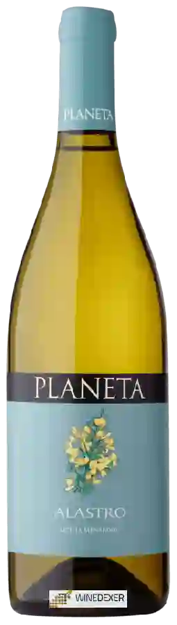 Winery Planeta - Alastro Winery Planeta - Alastro