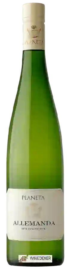 Winery Planeta - Allemanda Winery Planeta - Allemanda