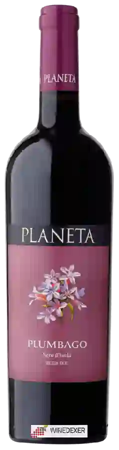 Winery Planeta - Plumbago Nero d'Avola Sicilia Winery Planeta - Plumbago Nero d'Avola Sicilia