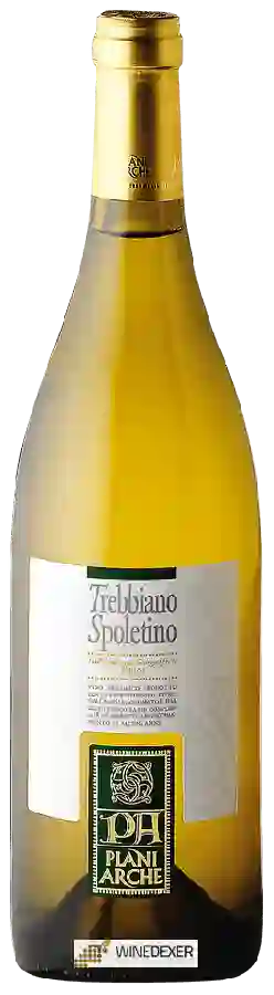 Winery Plani Arche - Trebbiano Spoletino Winery Plani Arche - Trebbiano Spoletino