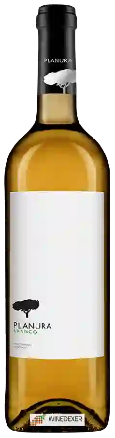 Winery Planura - Branco Winery Planura - Branco