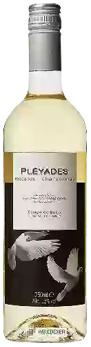 Winery Pléyades - Macabeo - Chardonnay