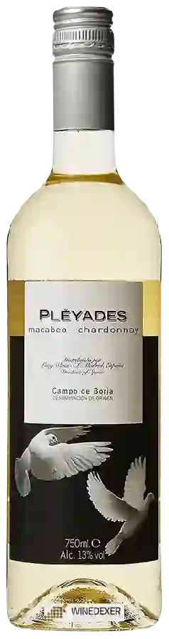 Winery Pléyades - Macabeo - Chardonnay