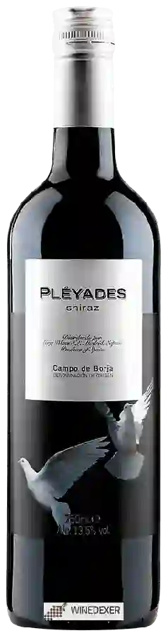Winery Pléyades - Shiraz