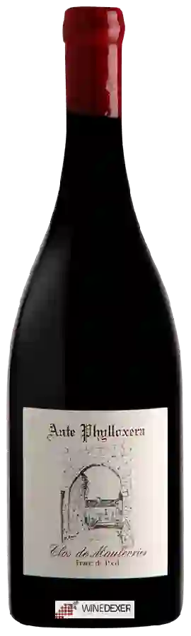 Winery M Plouzeau - Ante Phylloxera Clos de Maulevrier Franc de Pied