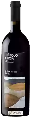 Winery Podere Albiano - Trìbolo Orcia