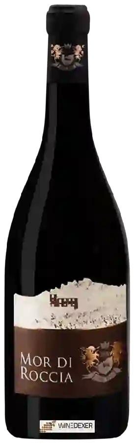 Winery Podere Anima Mundi - Mor di Roccia