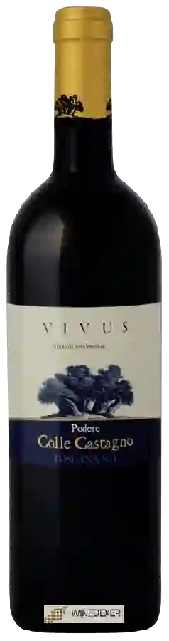 Winery Podere Colle Castagno - Vivus Winery Podere Colle Castagno - Vivus
