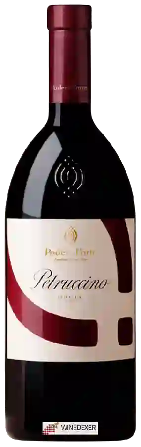 Winery Podere Forte - Petruccino Winery Podere Forte - Petruccino