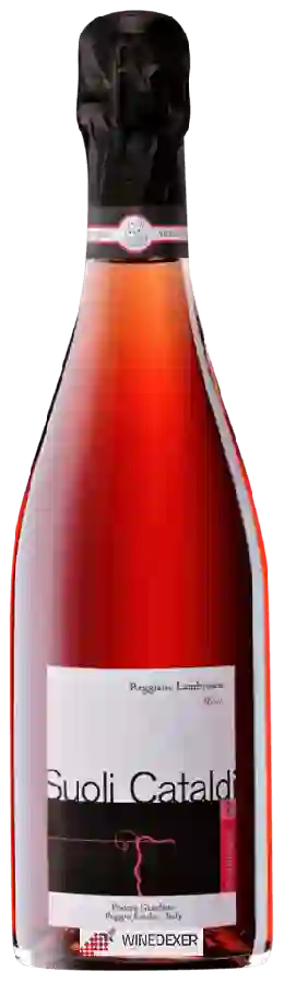 Winery Podere Giardino - Suoli Cataldi Reggiano Lambrusco Rosè Winery Podere Giardino - Suoli Cataldi Reggiano Lambrusco Rosè