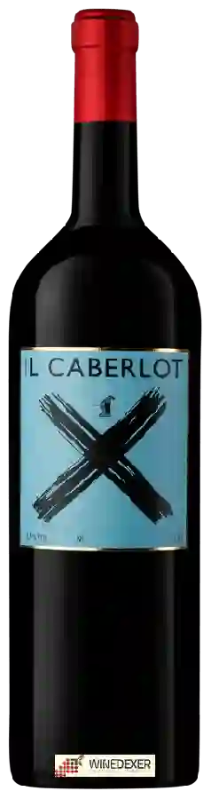 Winery Podere Il Carnasciale - Il Caberlot Winery Podere Il Carnasciale - Il Caberlot