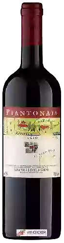 Winery Poggio Scalette - Piantonaia Alta Valle della Greve
