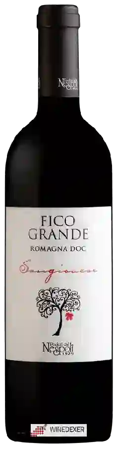 Winery Poderi dal Nespoli - Fico Grande Romagna Sangiovese