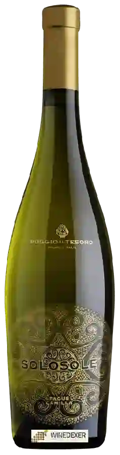 Winery Poggio Al Tesoro - Solosole Pagus Camilla Winery Poggio Al Tesoro - Solosole Pagus Camilla