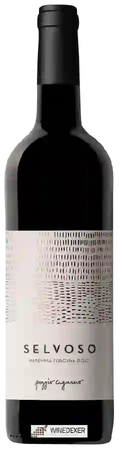 Winery Poggio Cagnano - Selvoso