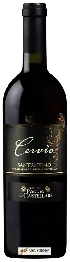Winery Poggio Il Castellare - Cervio Sant'Antimo
