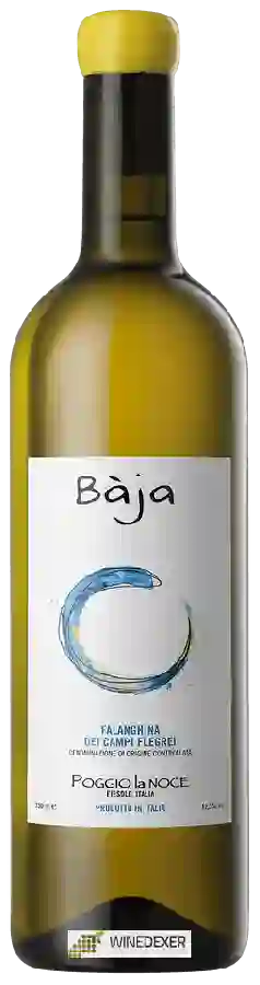 Winery Poggio La Noce - Bàja Falanghina Winery Poggio La Noce - Bàja Falanghina