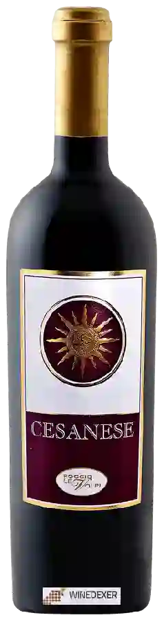 Winery Poggio le Volpi - Cesanese Winery Poggio le Volpi - Cesanese