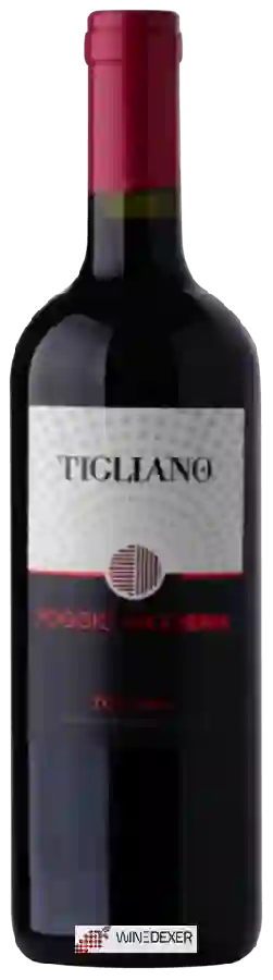 Winery Poggio Nicchiaia - Tigliano Winery Poggio Nicchiaia - Tigliano