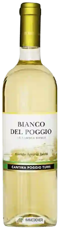 Winery Poggio Turri - Bianco del Poggio