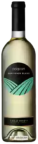 Winery Polgoon - Sauvignon Blanc