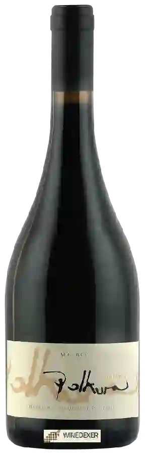 Winery Polkura - Malbec
