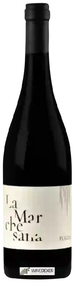 Winery Polvanera - La Marchesana Primitivo Winery Polvanera - La Marchesana Primitivo