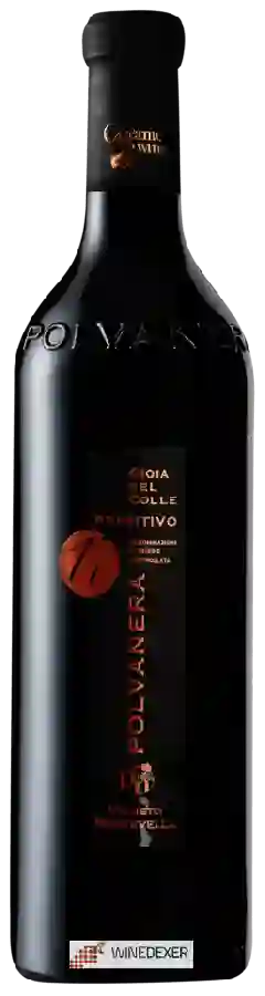 Winery Polvanera - 17 Primitivo Gioia del Colle