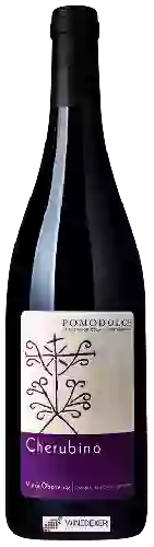 Winery Pomodolce - Cherubino