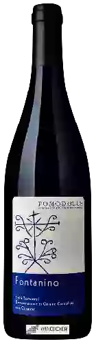 Winery Pomodolce - Fontanino