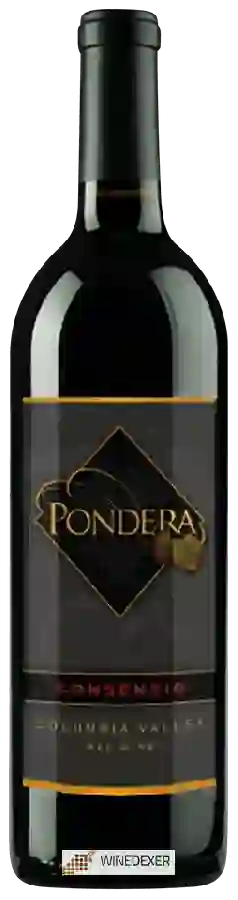 Winery Pondera - Consensio Winery Pondera - Consensio