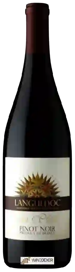 Winery Pont du Nord - Languedoc Pinot Noir Winery Pont du Nord - Languedoc Pinot Noir