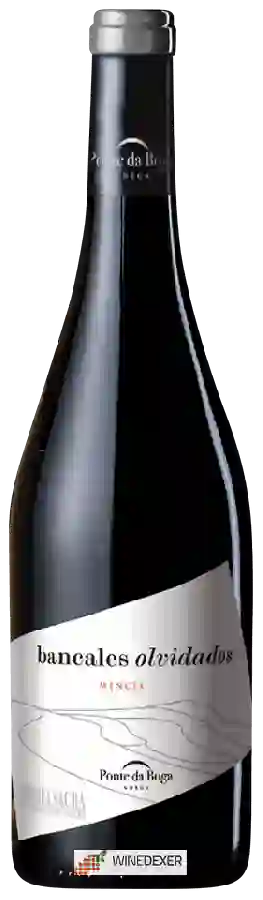 Winery Adega Ponte da Boga - Bancales Olvidados Mencía