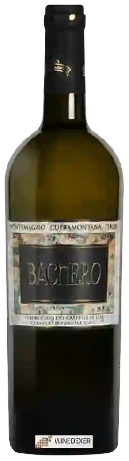 Winery Pontemagno - Bachero Verdicchio dei Castelli di Jesi Classico Superiore