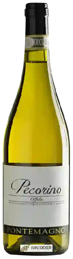 Winery Pontemagno - Pecorino Offida