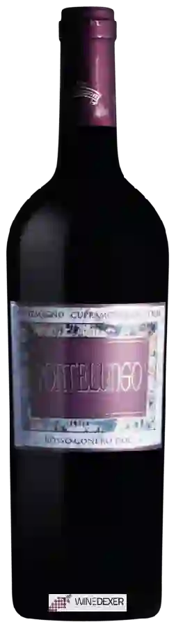 Winery Pontemagno - Pontelungo Rosso Conero Winery Pontemagno - Pontelungo Rosso Conero