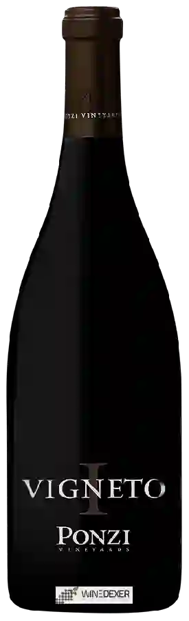 Winery Ponzi - Vigneto I Winery Ponzi - Vigneto I