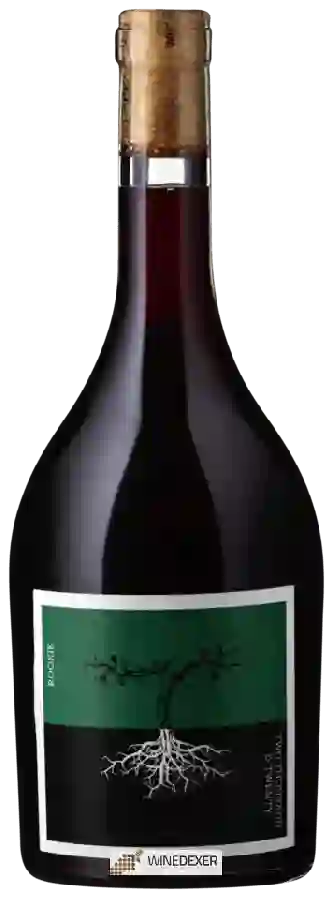 Winery Poppelvej - Rookie Winery Poppelvej - Rookie