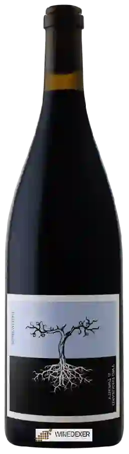 Winery Poppelvej - Somewhere