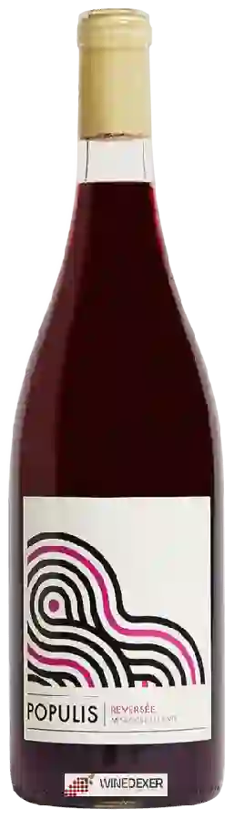 Winery Populis - Reversée Winery Populis - Reversée