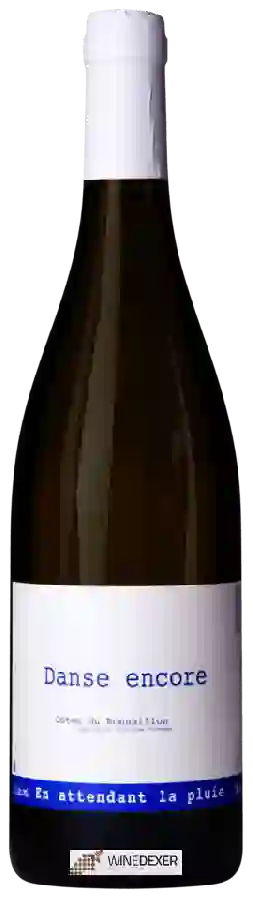 Domaine du Possible - Danse Encore