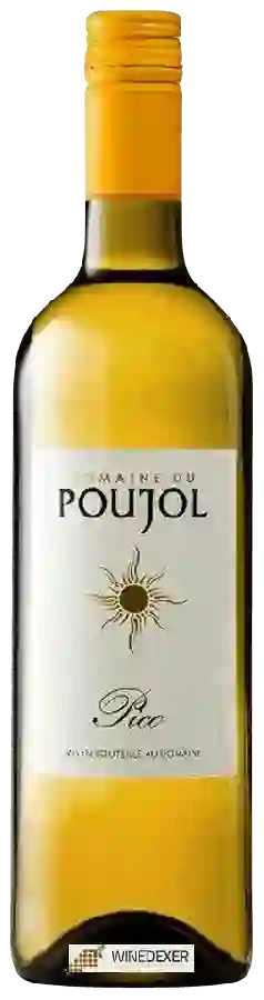 Domaine du Poujol - Pico (Vieilles Vignes)