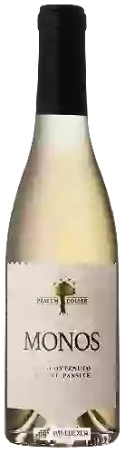 Winery Pratum Coller - Monos
