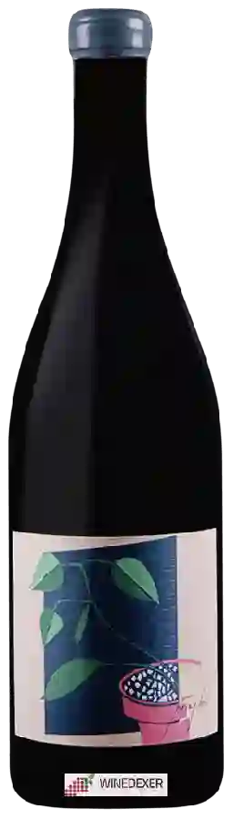 Winery Pray Tell - Pinot Noir Winery Pray Tell - Pinot Noir