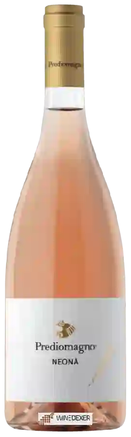 Winery Prediomagno - Neonà