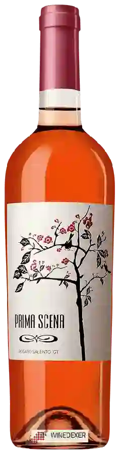 Winery Prima Scena - Rosato