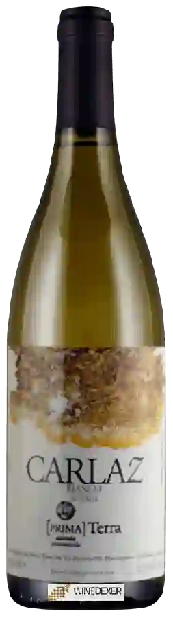 Winery Primaterra - Carlaz Bianco Winery Primaterra - Carlaz Bianco