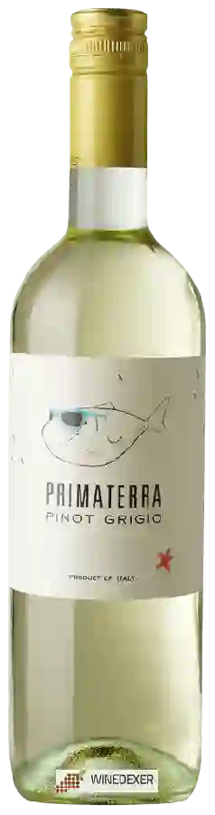 Winery Primaterra - Pinot Grigio Winery Primaterra - Pinot Grigio