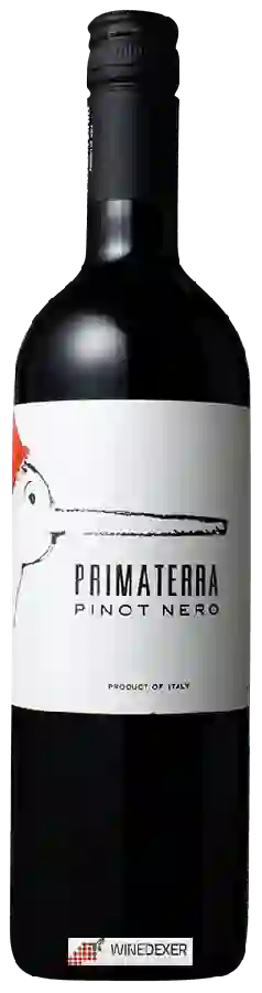 Winery Primaterra - Pinot Nero Winery Primaterra - Pinot Nero
